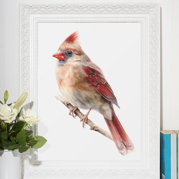 Watercolor Female Cardinal Bird Wall Art Print Unframed - Picture 6 of 7